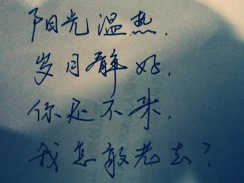 文字唯美的短句子文案