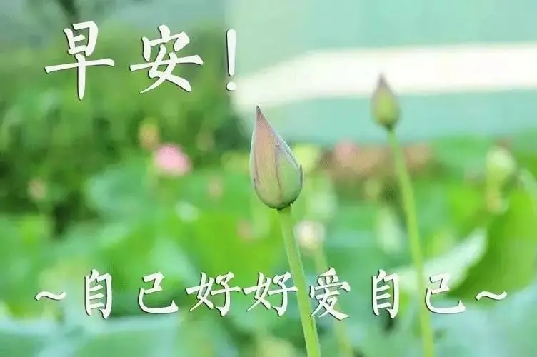 给老公的温柔早安问候