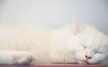 周末开心的搞笑的句子文案