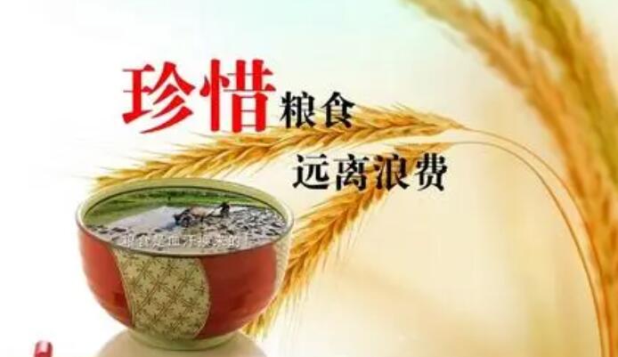 杜绝浪费粮食的名言名句文案