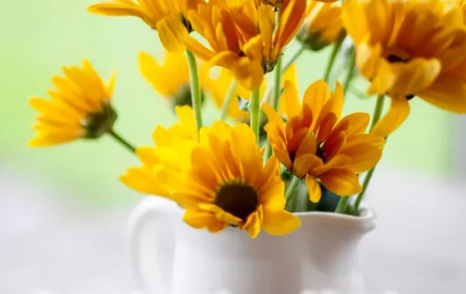 好朋友每日早晨问候语大全