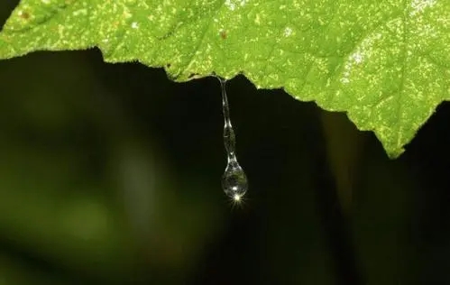 描写雨的开头唯美句子文案
