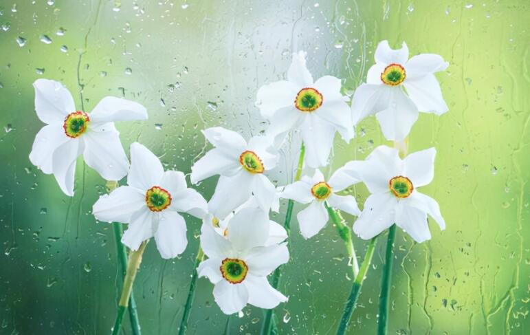 下雨天心情的句子文案