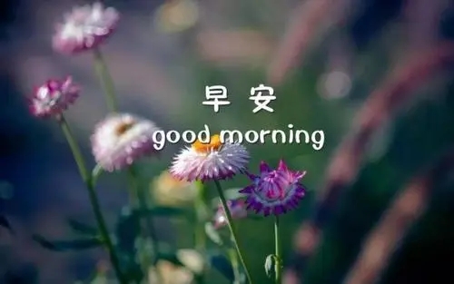 2024年最温馨的朋友早安问候