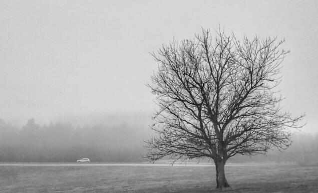 励志暖心的句子文案短句