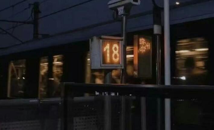 wps画报上的句子文案有哪些