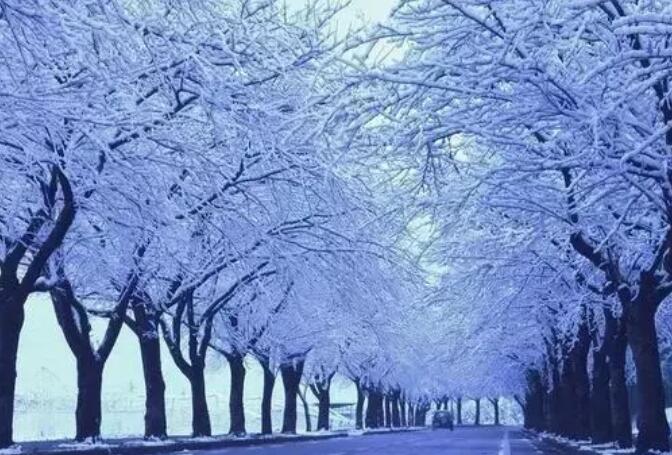 圣诞节的话语60字朋友