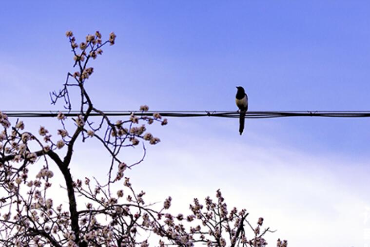 仿照例句用名人名言来说明自己的观点