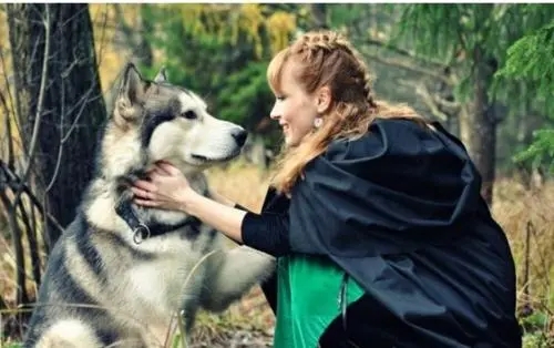 人对宠物情感的句子文案