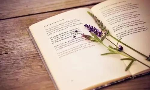 内心淡定的女人句子文案