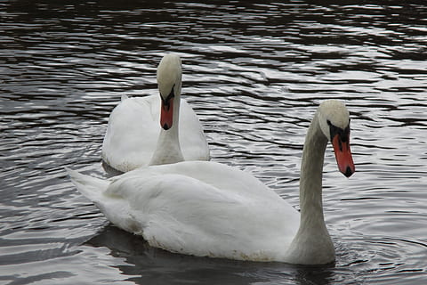 结婚3年的经典语录文案