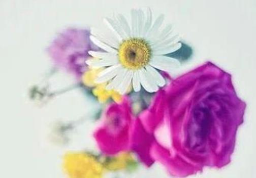 保护她一辈子的句子文案