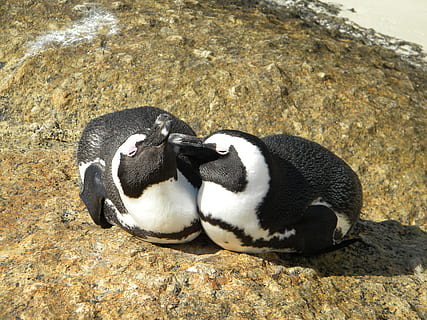 男人征婚的朋友圈搞笑