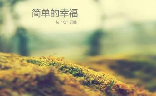 简简单单的幸福的短句