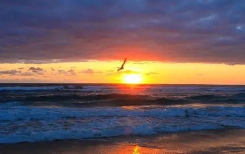 日出的唯美句子文案