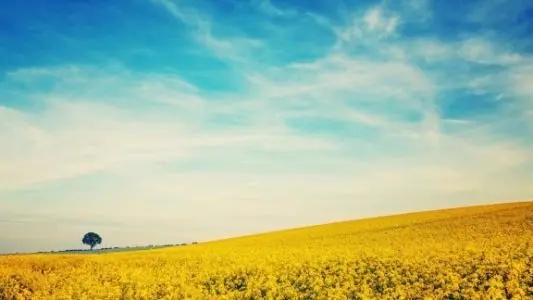 关于火星的聊天句子文案