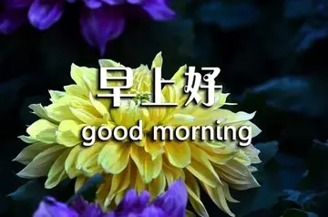 美美的早安心语