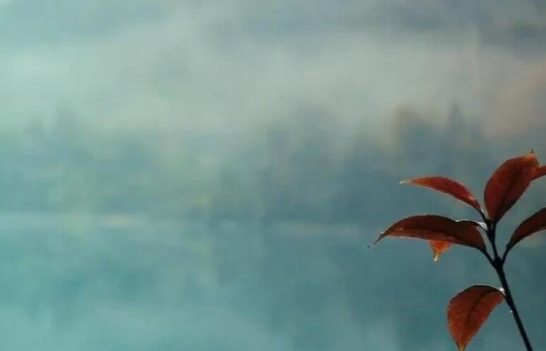 关于风景的读书笔记摘抄