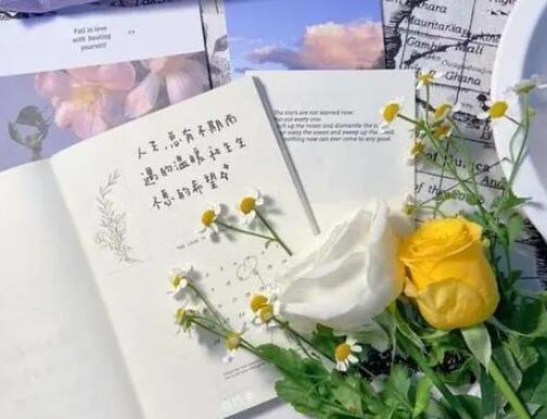 超级温柔的官宣文案