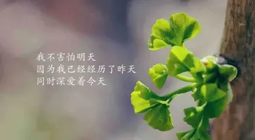 名人名言唯美文艺励志