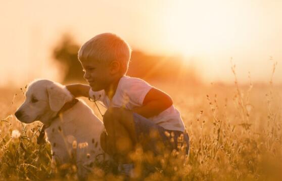 温馨早安问候语50句