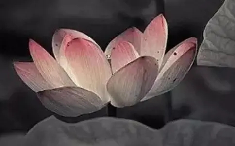 人生受苦的佛教语录文案