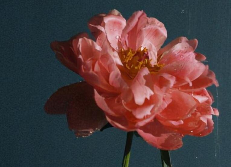 去旅游文艺小清新句子文案