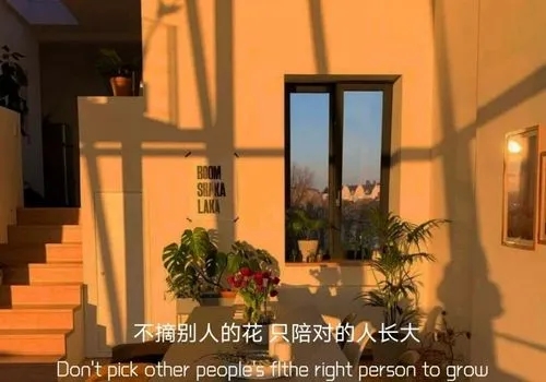 催着人长大的文案