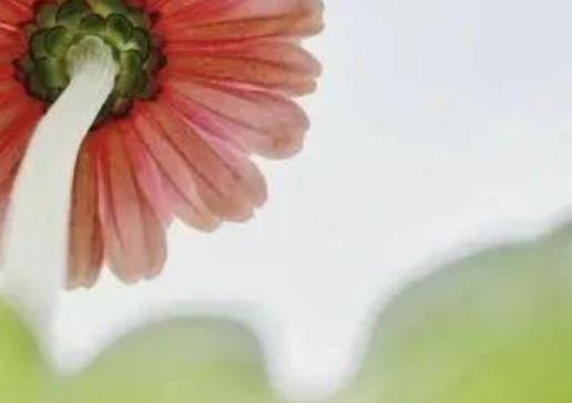 心累无助迷茫的句子文案