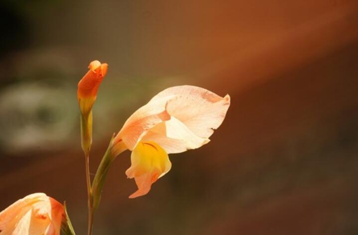 表达心情最好的句子文案