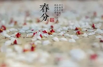 春分的朋友圈说说文案