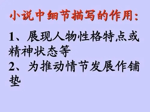 细节描写的作用