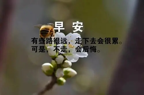 唯美早上好的句子文案