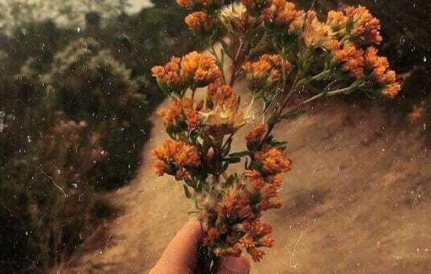 伤心的说说句子文案伤感