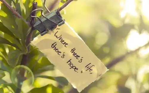 决定放弃一段感情的话