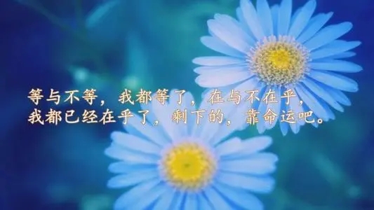 适合睡前发朋友圈的心情短语