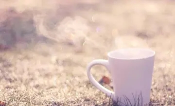 优美句子文案短句15字