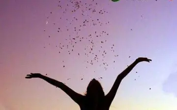 高中的生活的优美语句文案