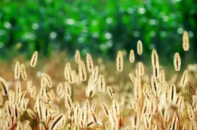 致生命最后一刻的语句文案