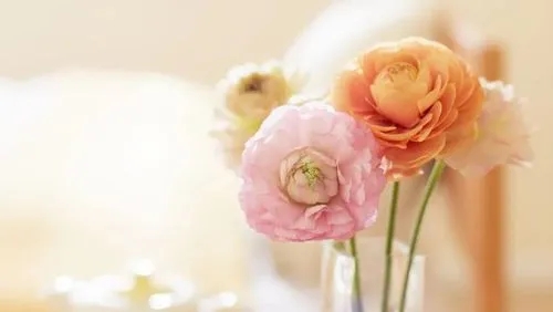 形容极度开心的句子文案