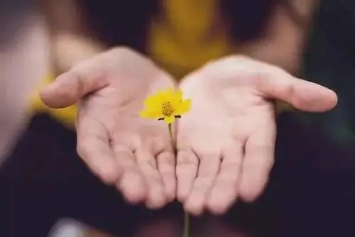 看见你花钱看不见你干活的句子文案