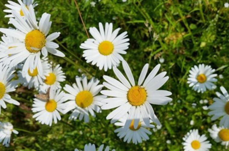 坚强到令人心疼的语录文案