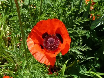 很美好的句子文案简短