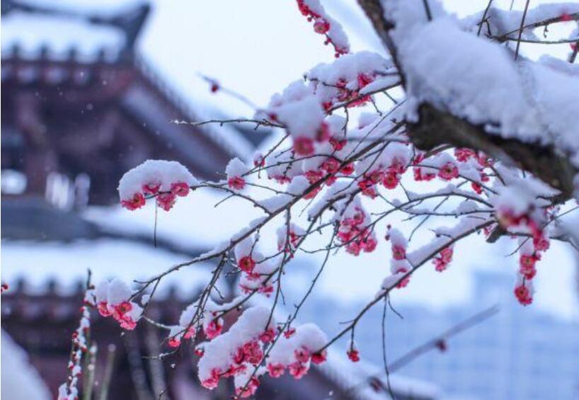 关于四季的好段摘抄大全