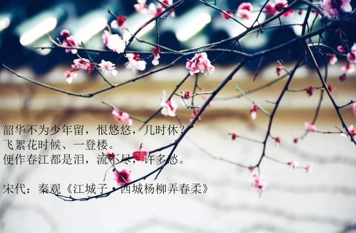 形容时间过得快的诗