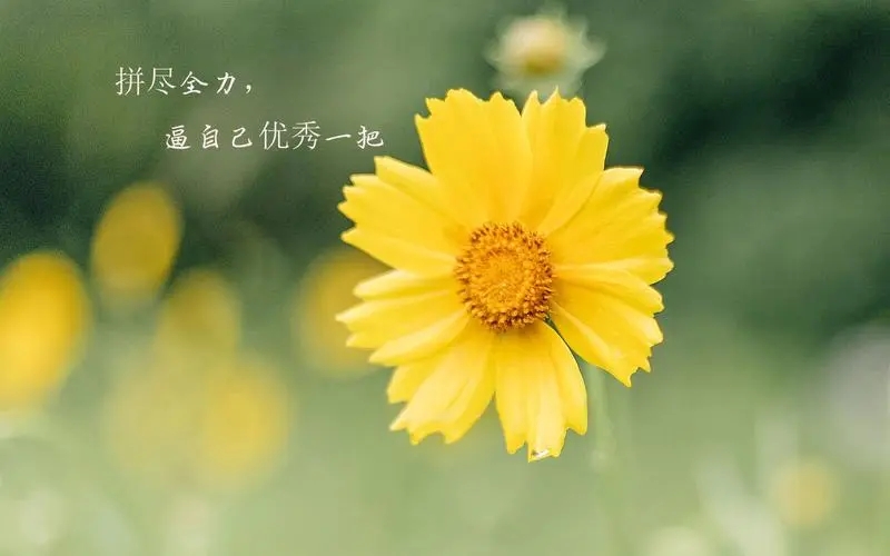 让自己暂时消失的句子文案