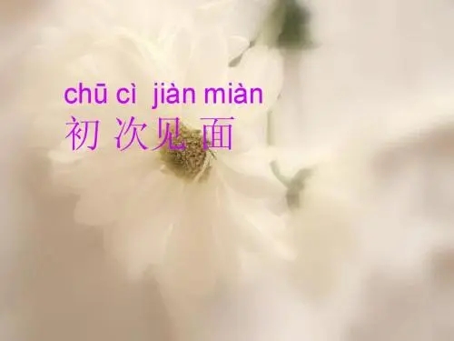 和初次见面的语句文案