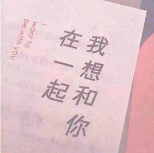 23句情话文案简短超短