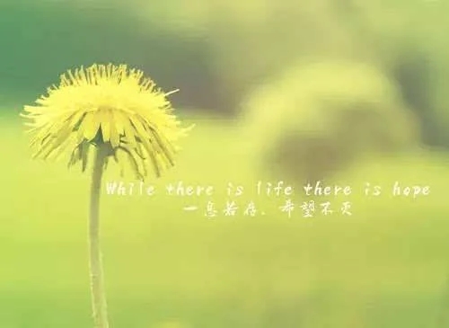 名人生活哲理的句子文案经典