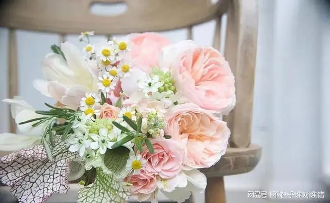 关于晚安的句子文案短句子文案